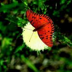 article image - 